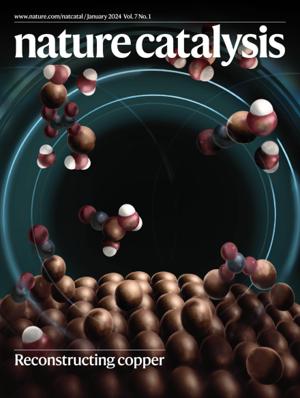 Nature Catalysis